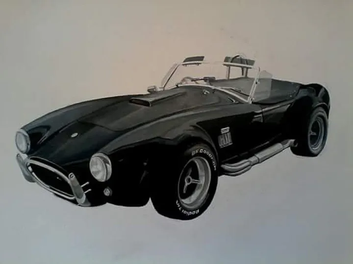 Cobra, œuvre de Raymond John Westraadt