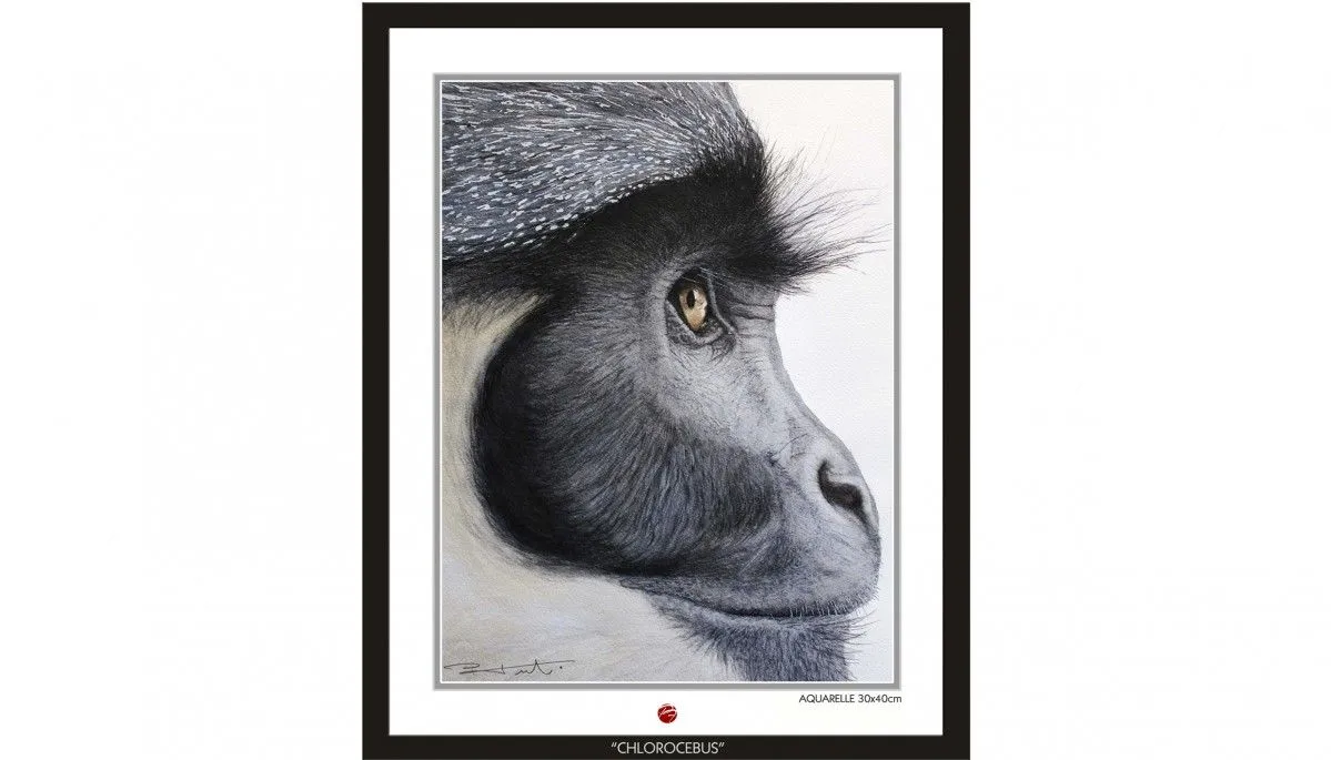 CHLOROCEBUS, artwork by Pierre Frutschi