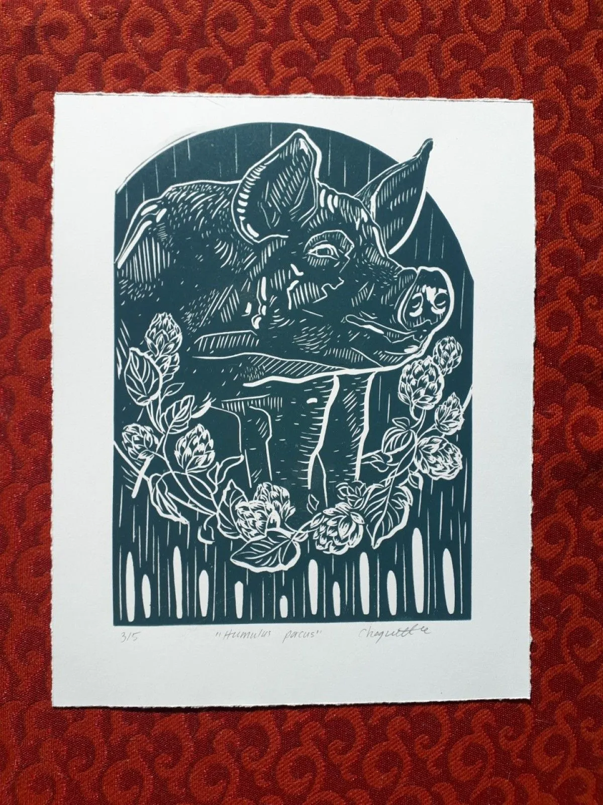 Humulus porcus, artwork by Laurianne Choquette