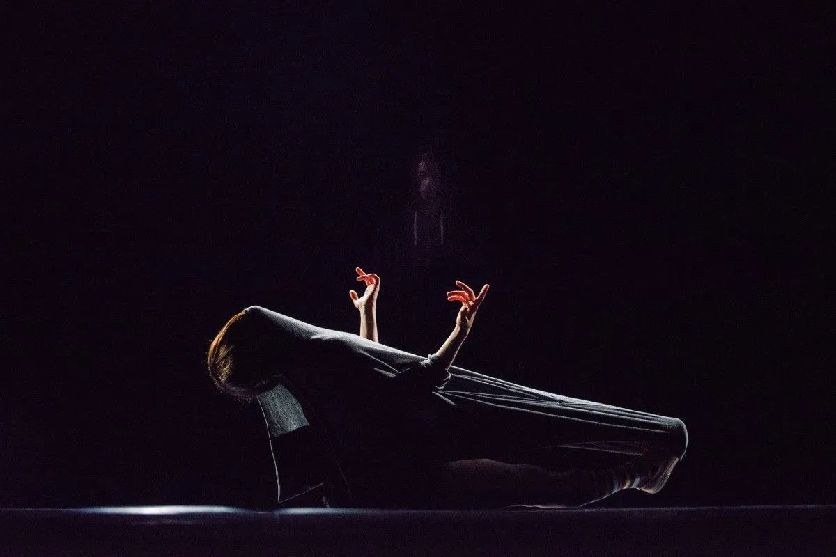 Cocoon, œuvre de Rute Violante