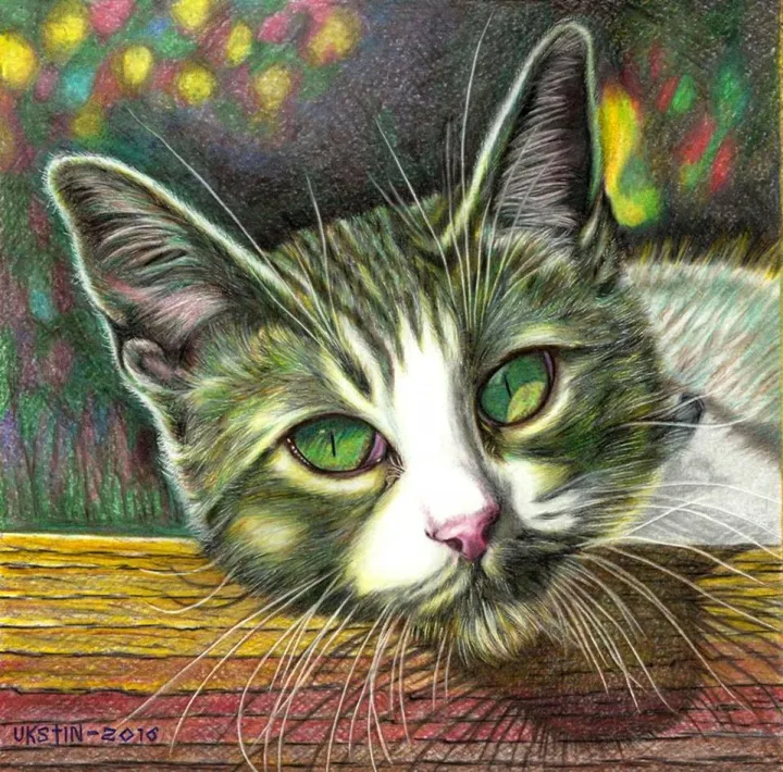 The Cat, œuvre de Carlos Ukstin