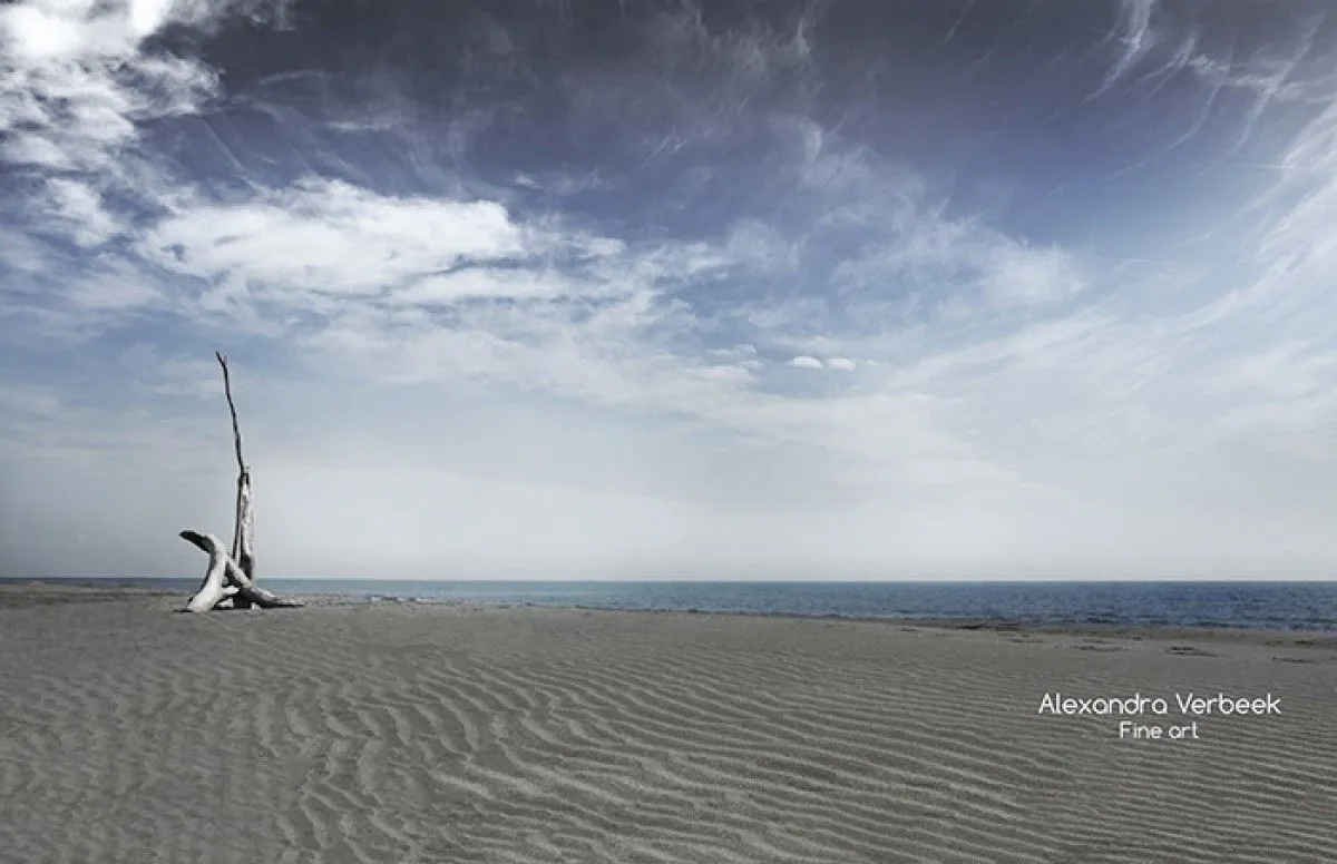 At the beach, œuvre de Alexandra Verbeek