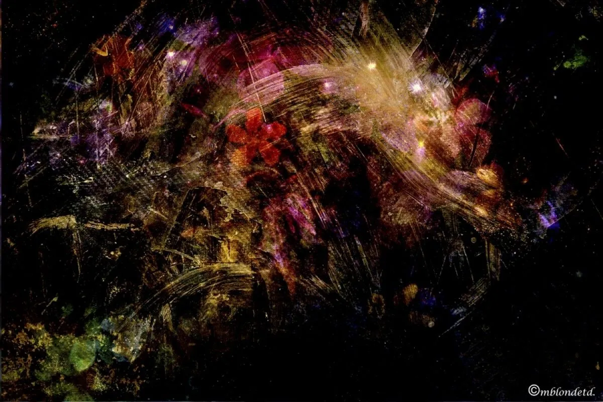 No title, œuvre de Miguel Blondet