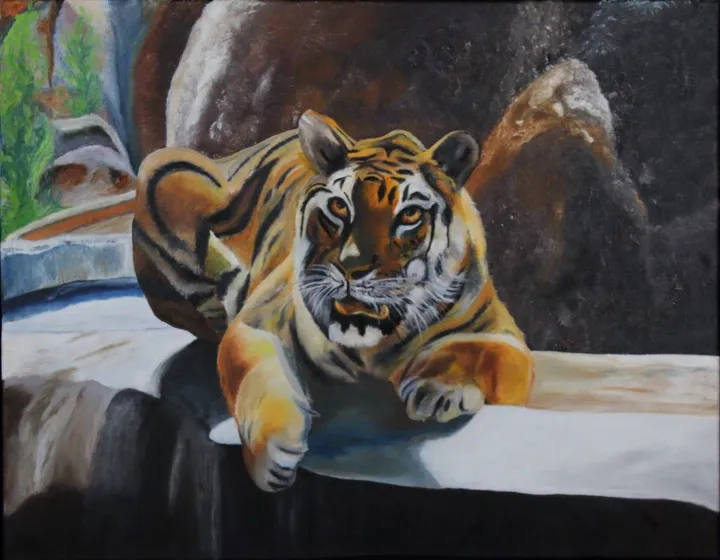 Tiger watching the crowd, œuvre de Rachelle Beaudry