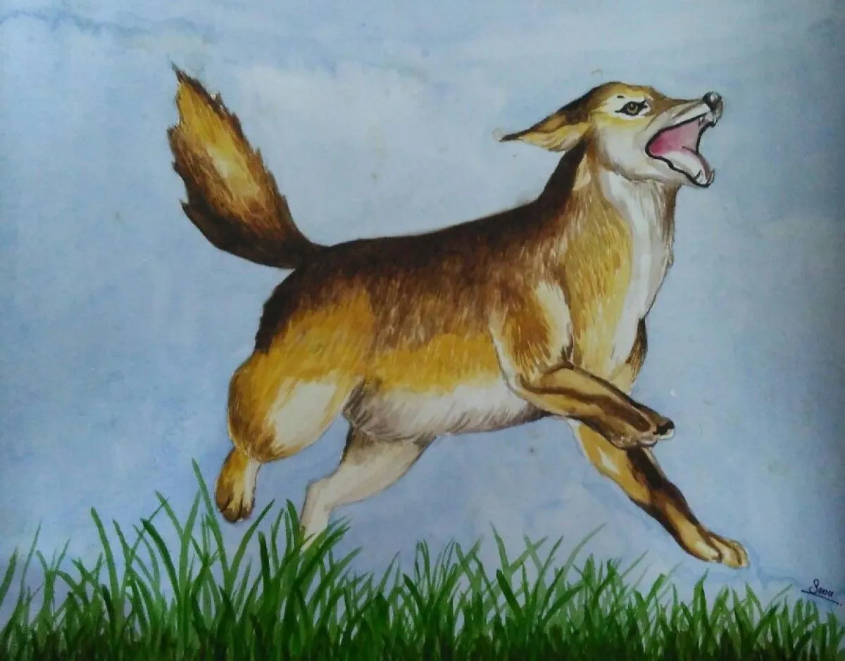 Barking wolf, œuvre de sonu sanss