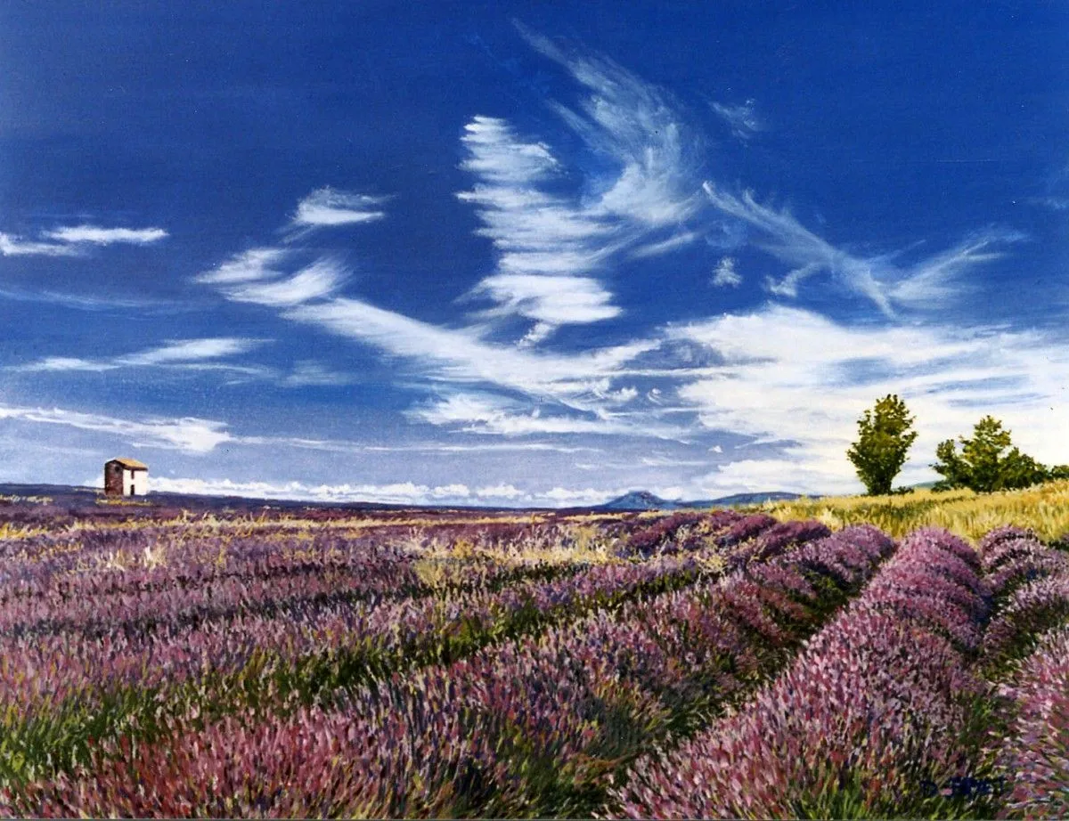 bleu lavande, artwork by dominique bryet