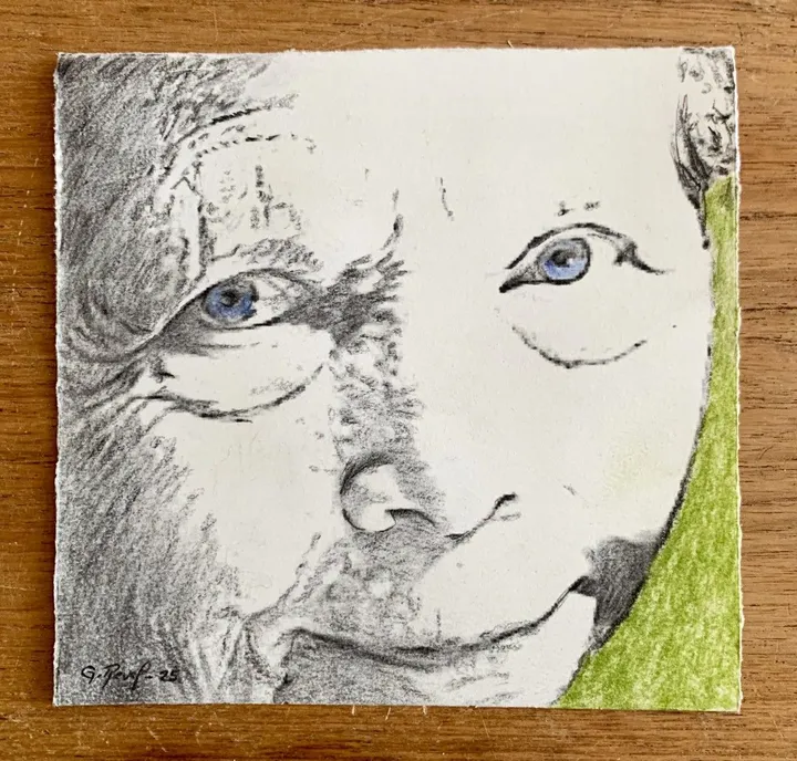 Portrait posthume de Françoise Kayler, artwork by guenael revel