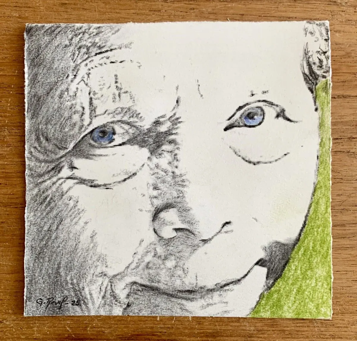 Portrait posthume de Françoise Kayler, artwork by guenael revel