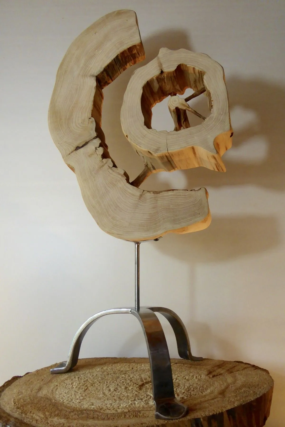 Cedar Eclipse, œuvre de Stef R.