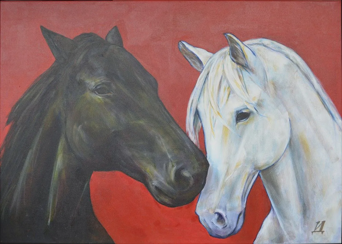 Wild Horses, œuvre de Ivana Dakic