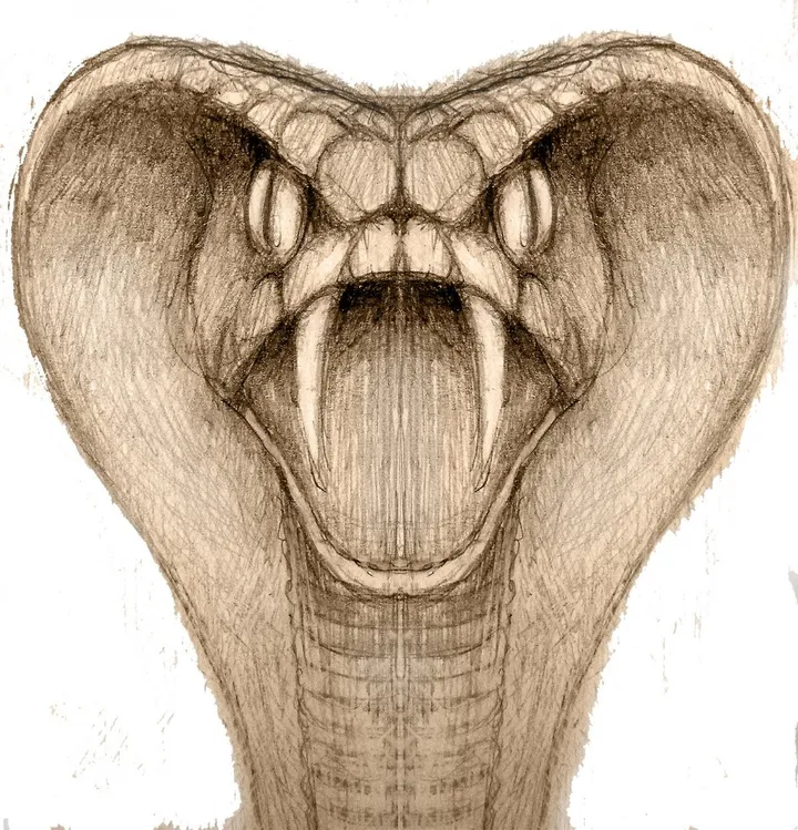 COBRA, œuvre de Jean Bessat