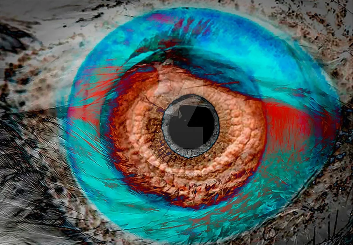 NEO EYE, œuvre de Sebasfixiarte Vélez Baena