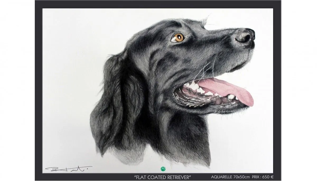 FLAT COATED RETRIEVER, artwork by Pierre Frutschi