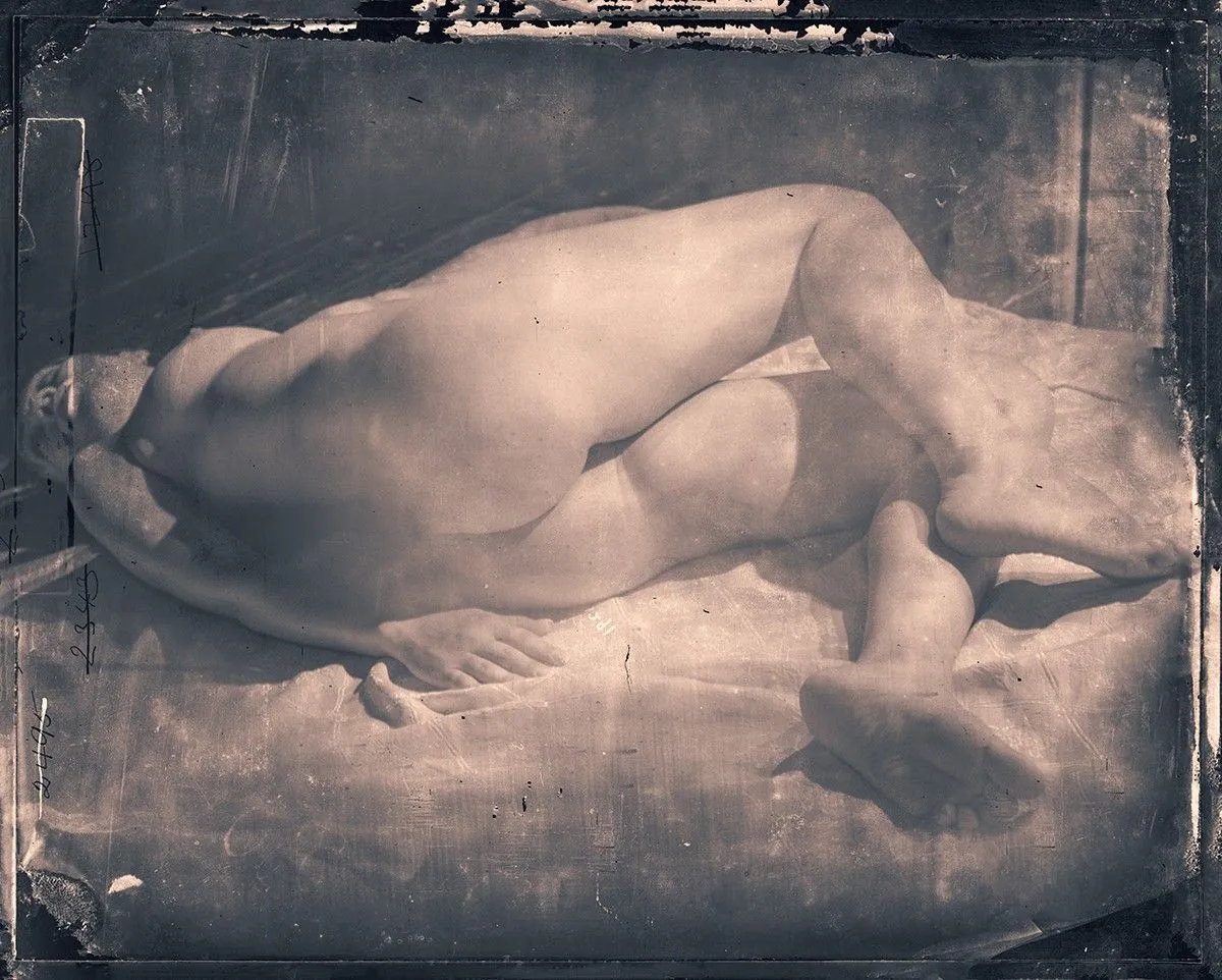 NUDE IN FRONT OF A DISCRETE AUDIENCE PROJECT, œuvre de dan andrei
