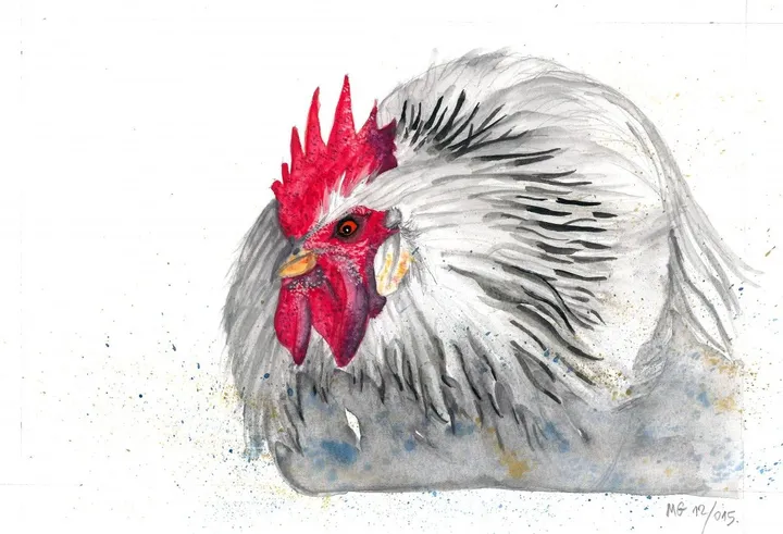 Rooster, artwork by Goran Martinovic