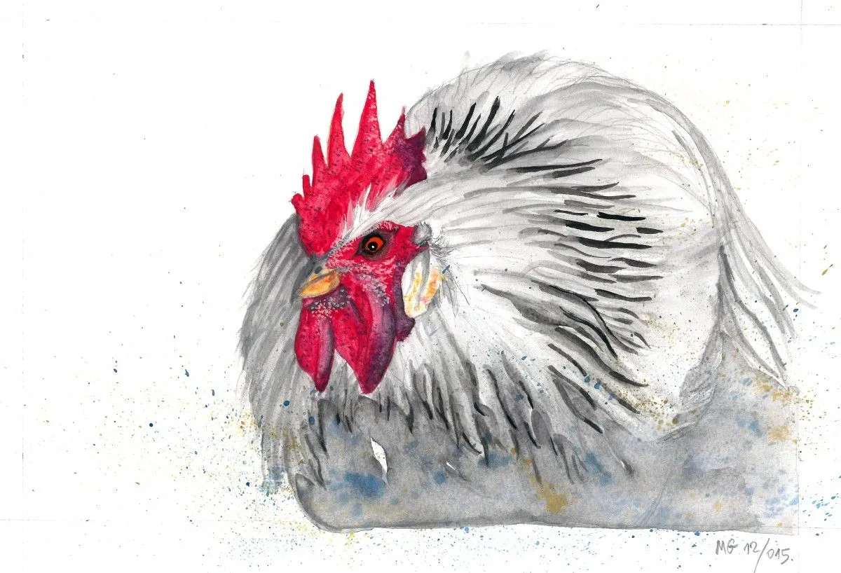Rooster, artwork by Goran Martinovic