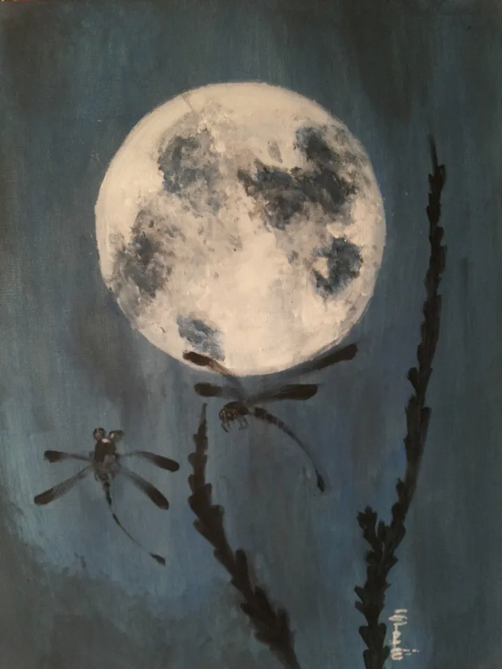 Quiet night, œuvre de Chaimae Boussouab