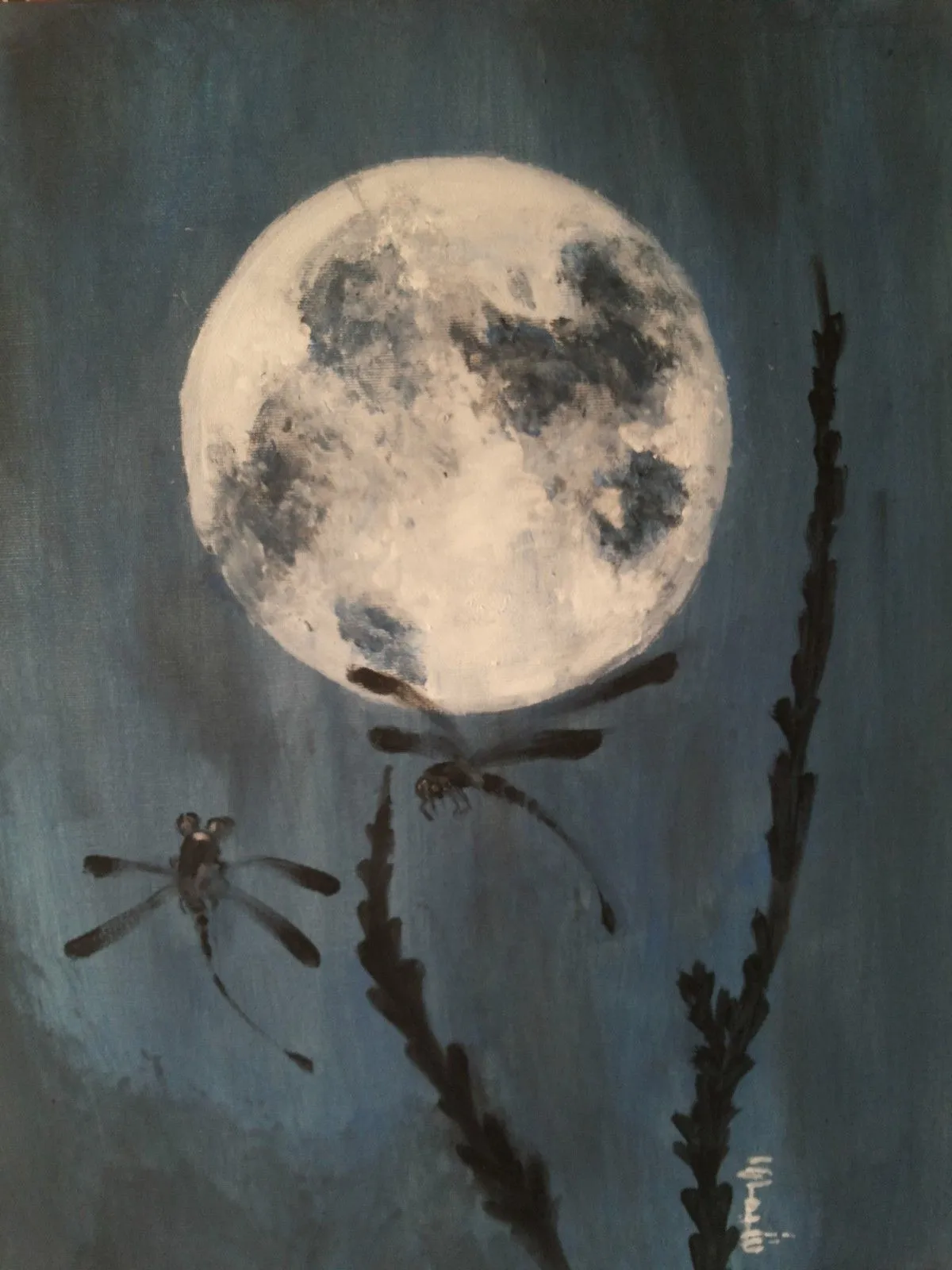 Quiet night, artwork by Chaimae Boussouab