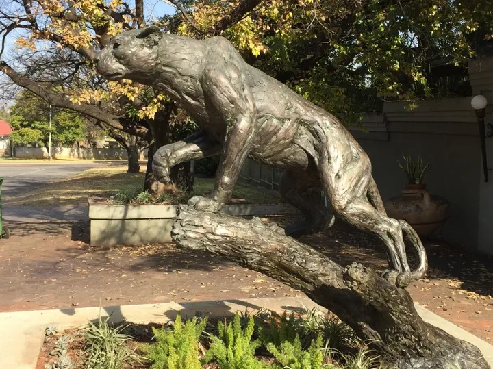 Life size Stalking Leopard, œuvre de Willem Botha