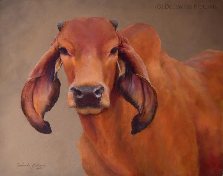Izra, œuvre de Deodanda Pretorius